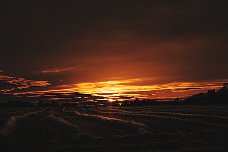 grass field during golden hour thumbnail