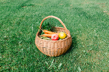 Homegrown vegetables and fruits in a basket thumbnail