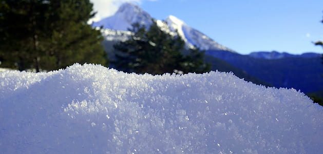 shallow focus photography of snow thumbnail