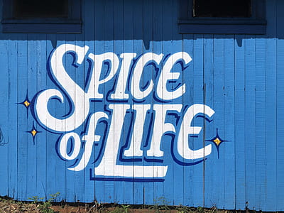 Spice of Life art thumbnail