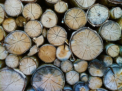 brown tree logs thumbnail