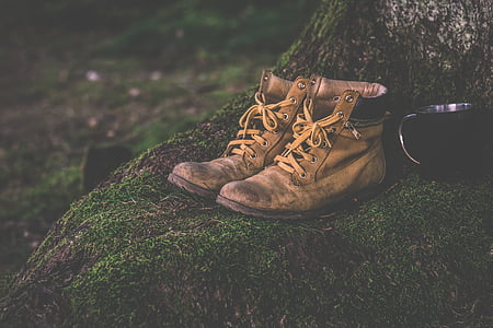 pair of brown leather work shoes near tree thumbnail