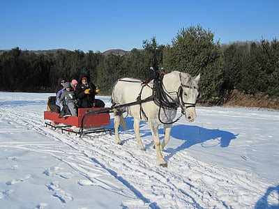 group of people riding on red sleigh and white horse during daytime thumbnail