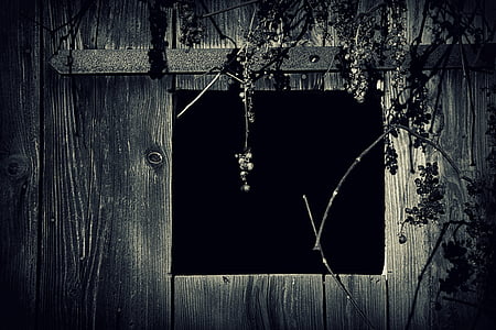 grayscale photo of window thumbnail