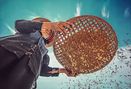 person holding round brown basket thumbnail