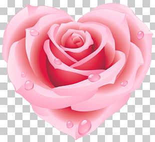 Heart Rose de france Rose quartz Amethyst, Large Pink Rose Heart , heart-shaped pink rose PNG clipart
