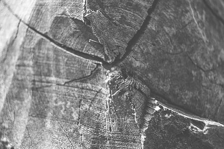 wood, art, dirty, pattern thumbnail
