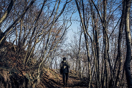 Man in Middle of Forest thumbnail