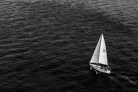 white sailboat on body of water thumbnail