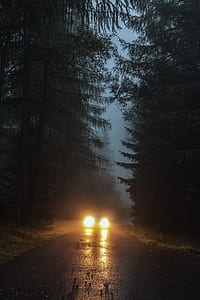 car between trees near building thumbnail