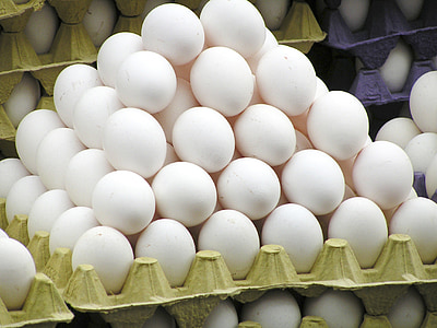 poultry egg lot thumbnail
