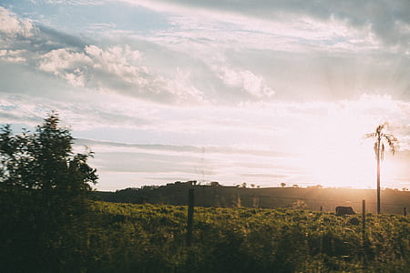 light, dawn, sky, sunset thumbnail