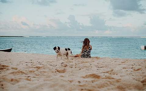 woman sitting on the seashore beside the dog thumbnail