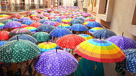 assorted-color umbrella lot thumbnail