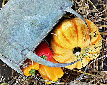 four assorted-color vegetables beside gray metal basket thumbnail