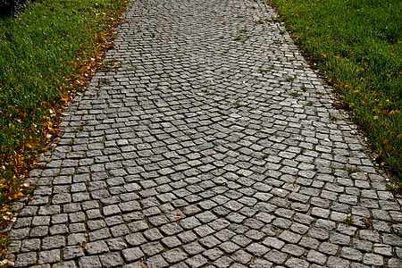 gray concrete street between grasses thumbnail