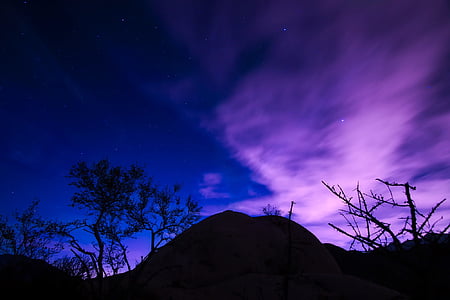 silhouette of trees thumbnail