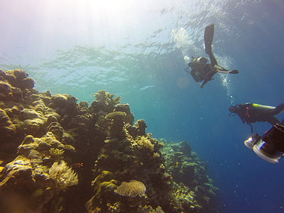 person under the sea during daytime thumbnail