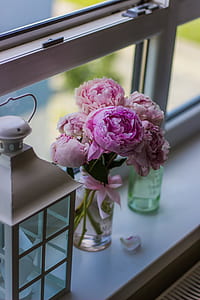 flowers, petals, blur, bloom thumbnail