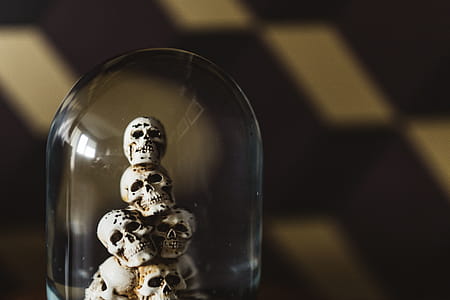 Water Globe with Skulls thumbnail
