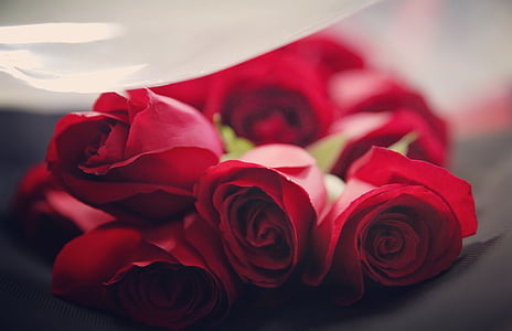 shallow focus photo of roses thumbnail