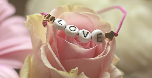 beaded bracelet on top of pink rose thumbnail