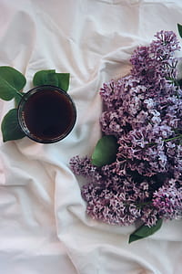 flowers, drink, glass, leaf thumbnail