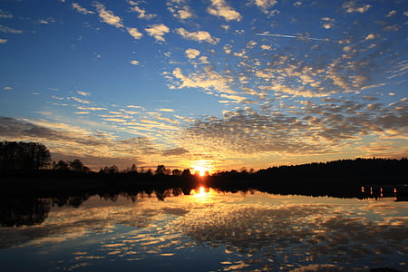 silhouette of trees during sunset thumbnail