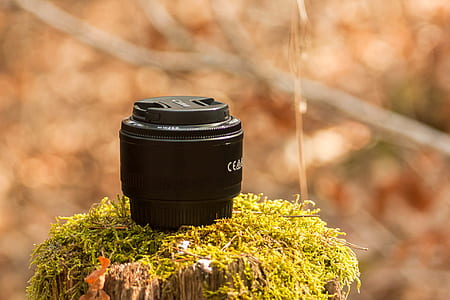 nature, camera, photography, lens thumbnail