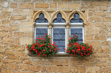front view of closed window with red flowers in pots thumbnail