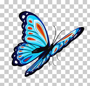 Butterfly T-shirt , Blue and Red Butterfly , blue and multicolored butterfly illustration PNG clipart