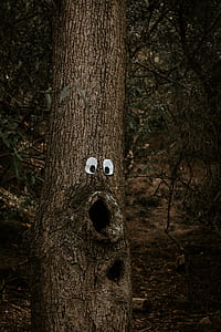 green tree trunk thumbnail