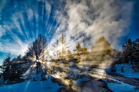 landscape photo of trees with snow during golden hour thumbnail