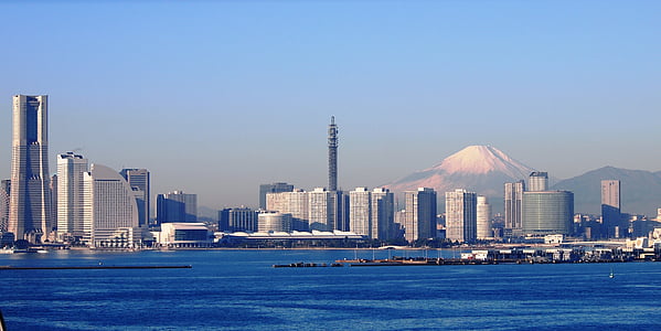 high rise buildings near sea at daytime thumbnail