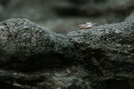 photo of gold-colored diamond encrusted ring on stone thumbnail