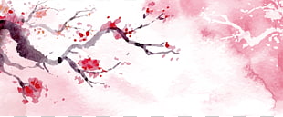 page 5 7 918 cherry blossom png cliparts for free download uihere