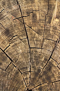cracked brown wooden board thumbnail