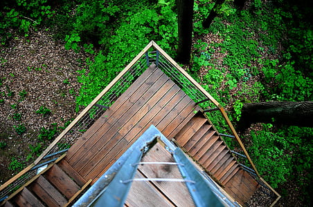 stairs, bird's eye view, trees, architecture thumbnail