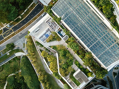 aerial photography of commercial building surrounded by trees thumbnail