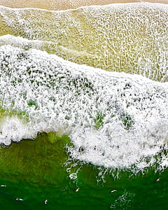 aerial photofgraphy of people in beach at daytime thumbnail