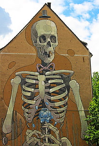human skeleton illustration beside plant thumbnail