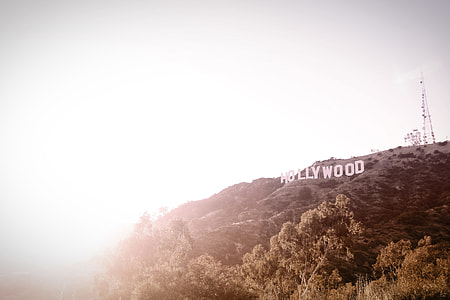 Hollywood during daytime thumbnail