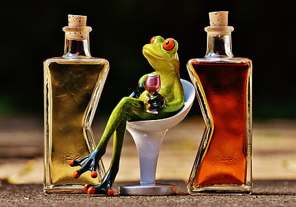 selective focus photography of frog holding wine glass while sitting thumbnail