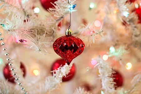 Close-up of Christmas Decoration Hanging on Tree thumbnail
