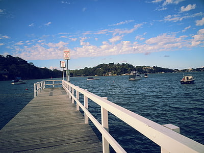 white wooden dock during daytime thumbnail