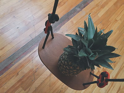 food, wood, house, table thumbnail