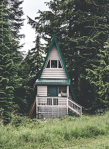 green and white wooden house surrounded by trees under white clouds at daytime thumbnail