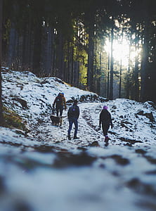 people walking up to the mountain thumbnail