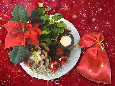 green leafed plant and tealight candle thumbnail