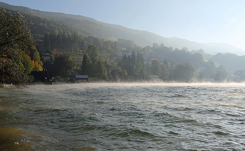 body of water facing trees and mountain thumbnail